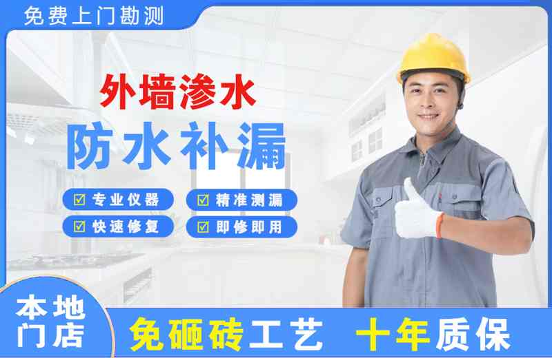 海棠外墙渗水维修